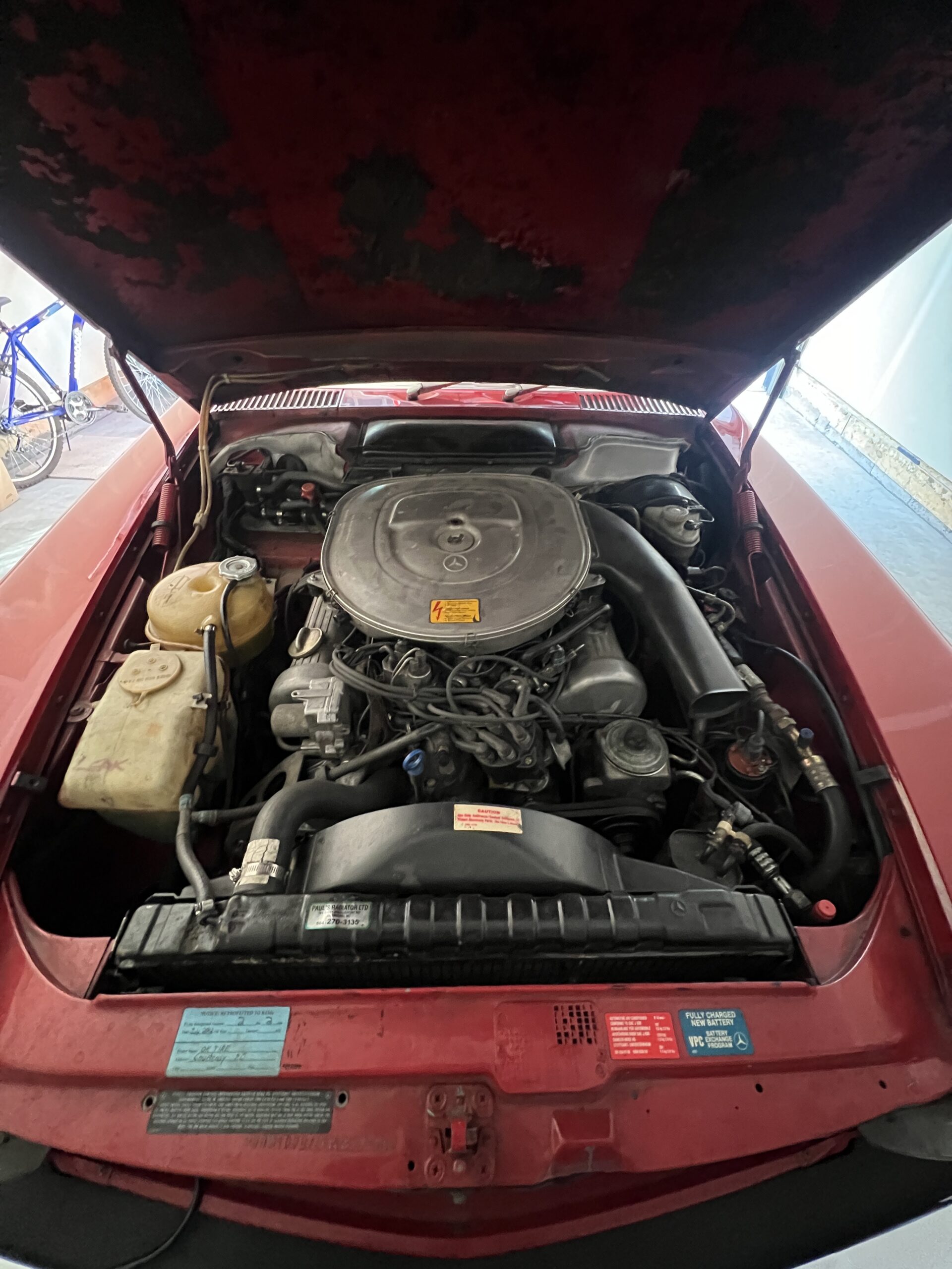 Photo 2024-03-18, 12 17 09 PM